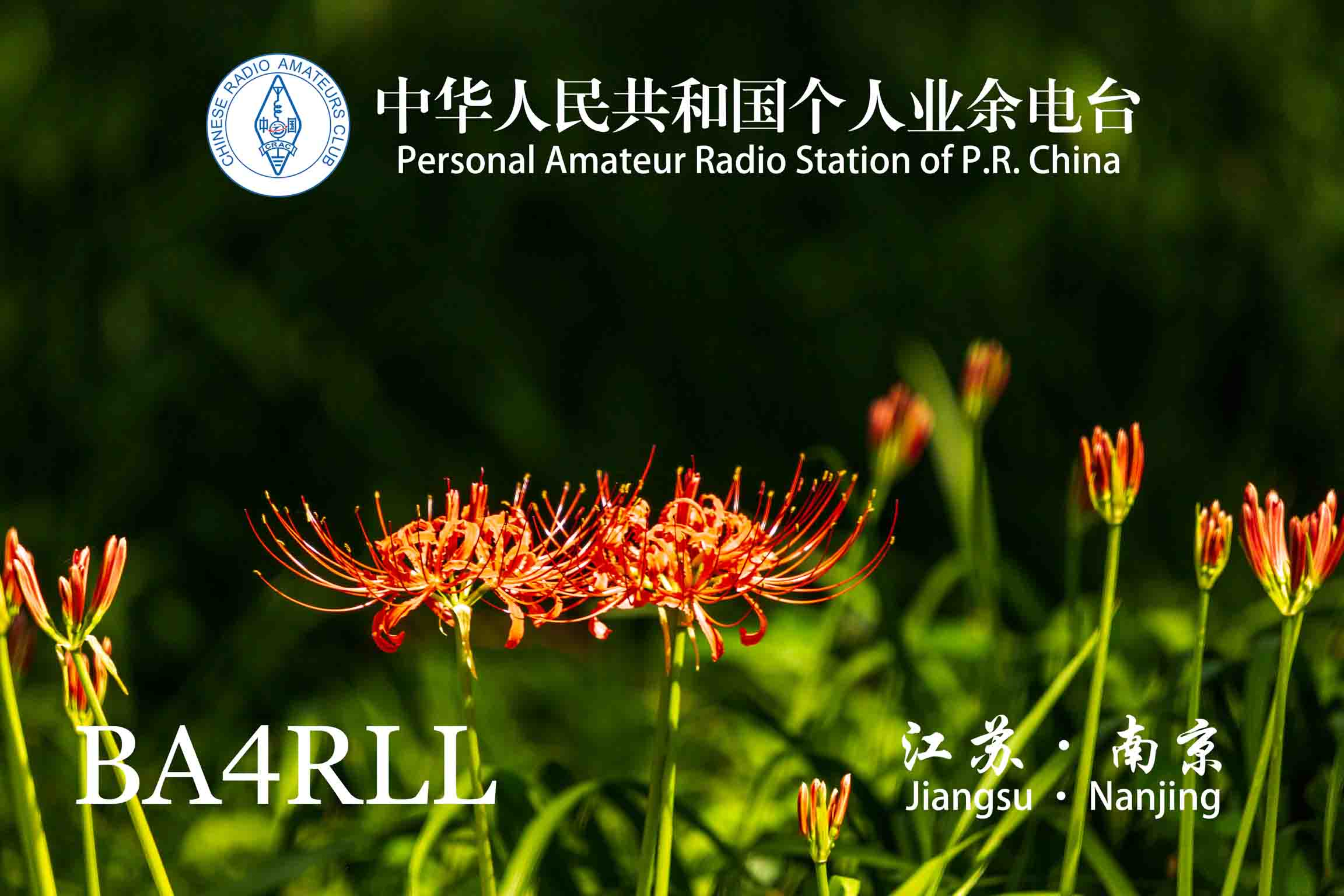 4期 花开富贵-2