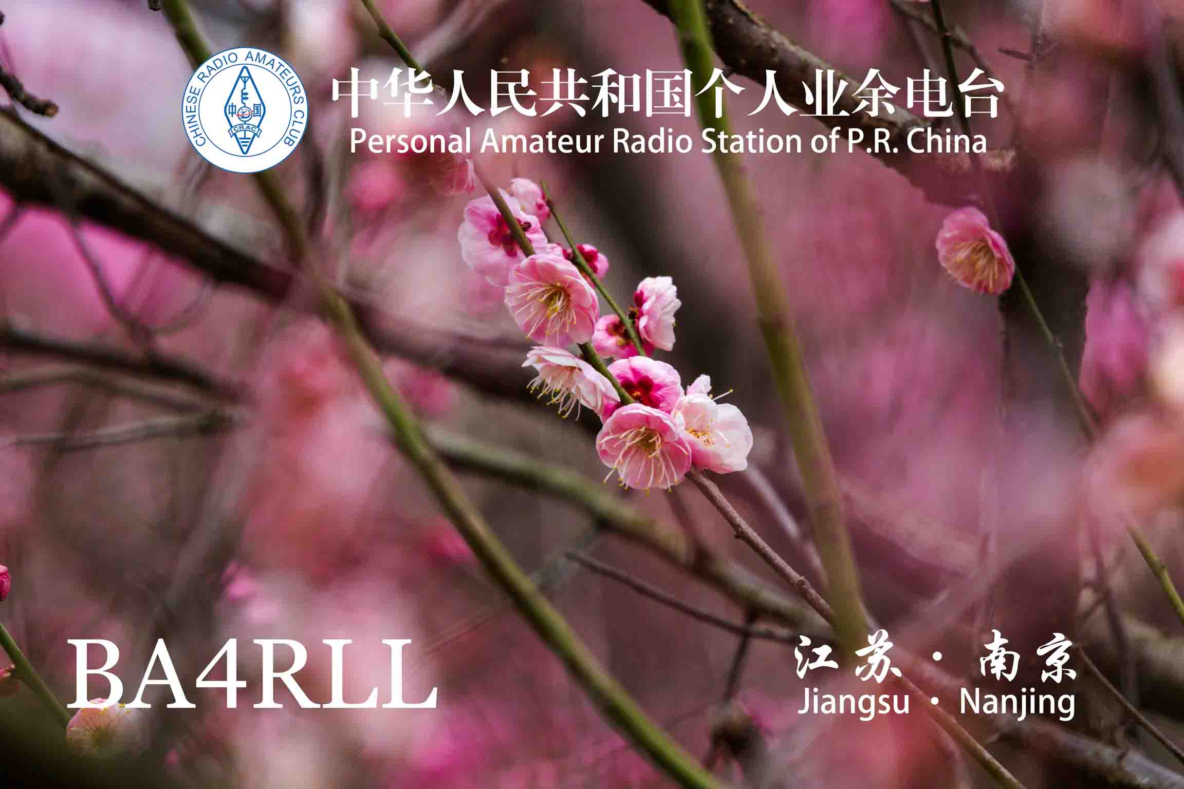 4期 花开富贵-3
