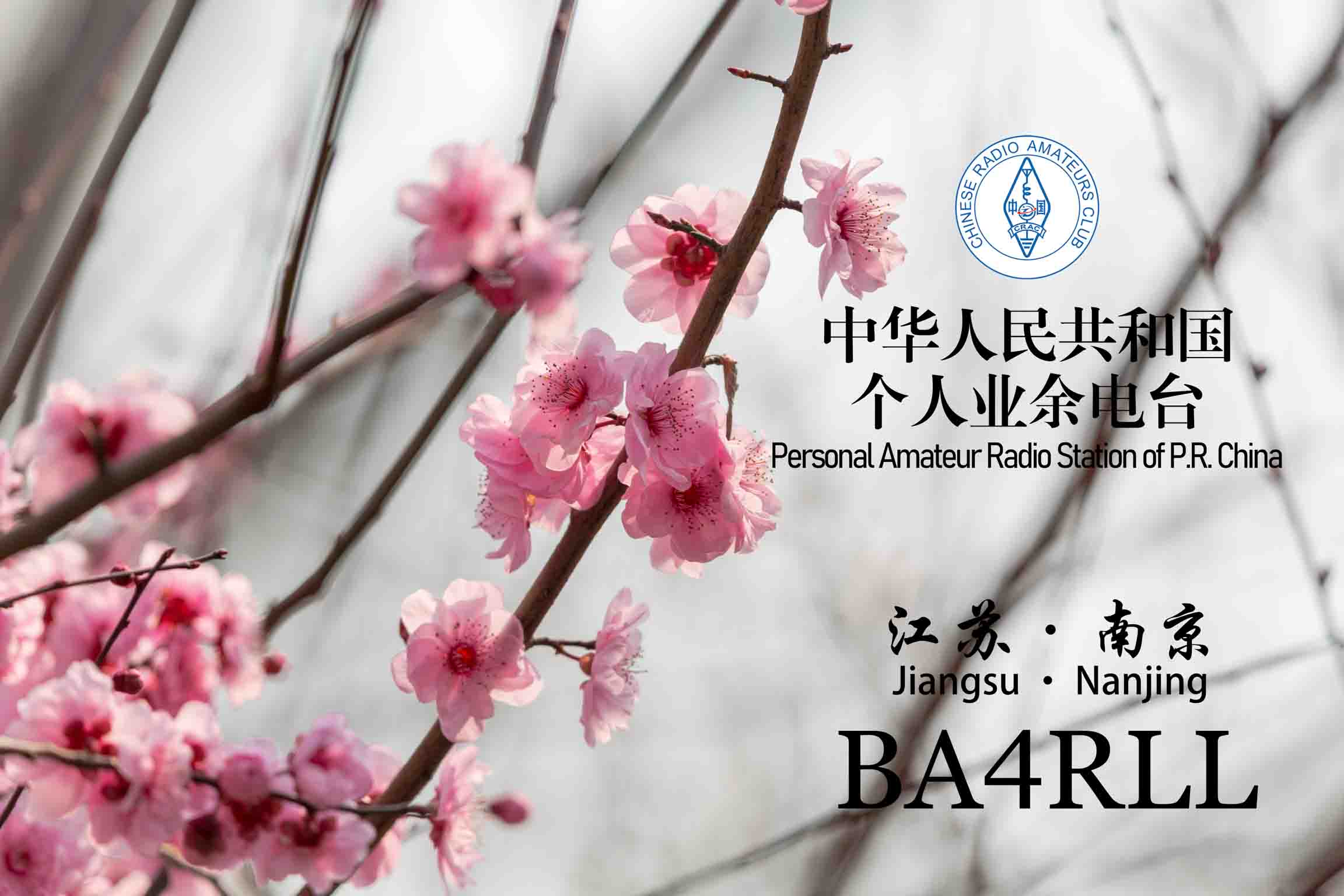 4期 花开富贵-4