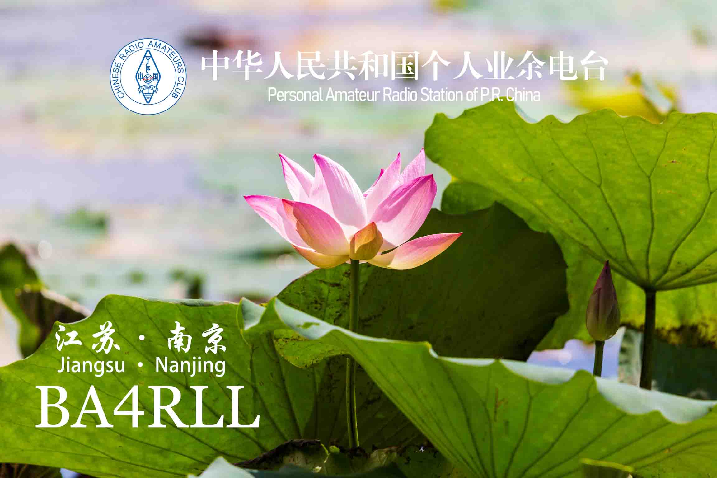 4期 花开富贵-5